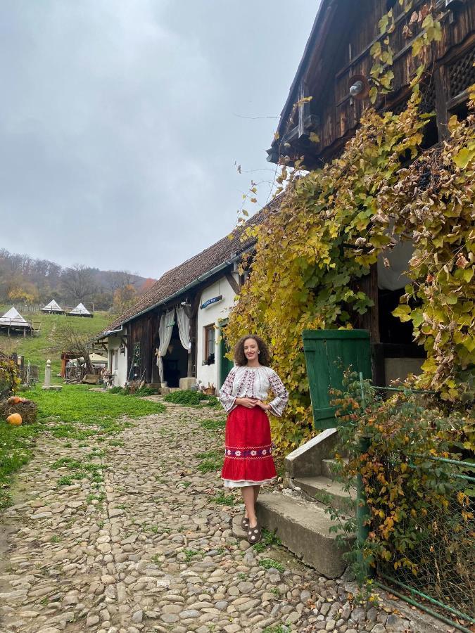 Saschiz 130/Lodging And Glamping Экстерьер фото