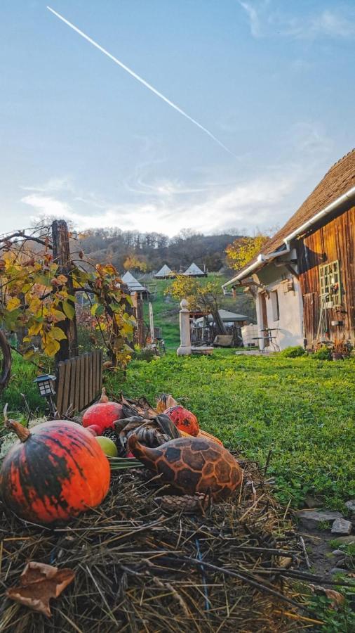 Saschiz 130/Lodging And Glamping Экстерьер фото
